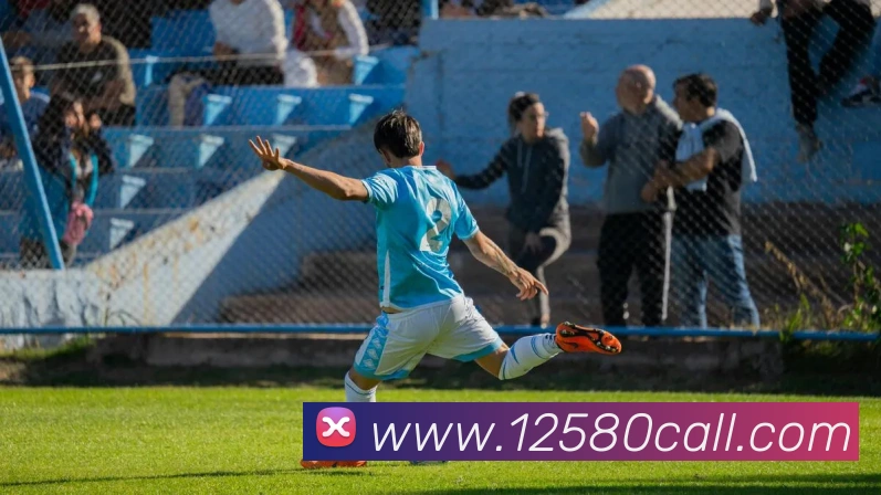 开云手机入口官方网站平台生态图