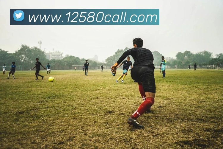 开云手机入口官方网站APP 封面图